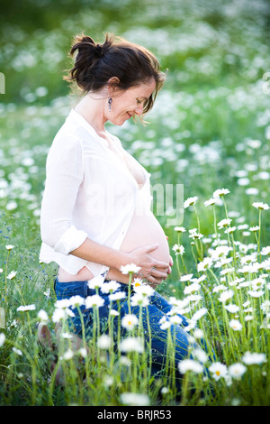 Eine schwangere Frau sitzt in einem Feld von Gänseblümchen in Santa Fe, New Mexico. Stockfoto