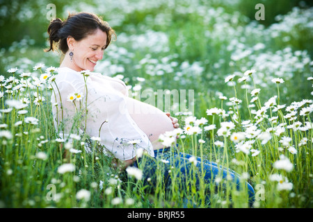 Eine schwangere Frau sitzt in einem Feld von Gänseblümchen in Santa Fe, New Mexico. Stockfoto