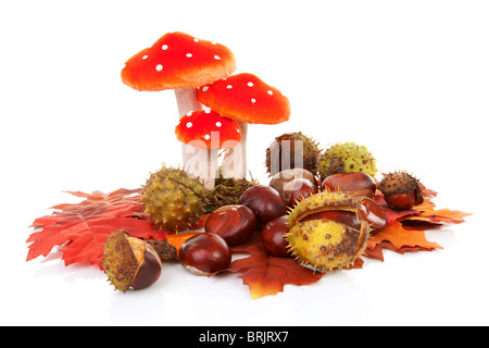 Herbst-Szene mit Blättern, Kastanien und Pilze auf weißem Hintergrund Stockfoto