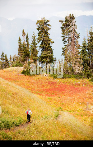 Eine Frau-Trail führt durch ein buntes Feld auf Mount Timpanogos, in der Nähe von Pleasant Grove, UT. Stockfoto