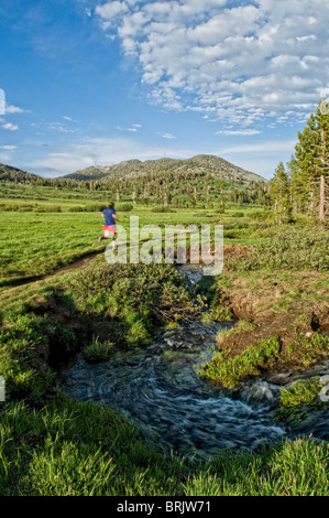 Eine junge Frau genießt den Abend leicht und leere Spur während ein Abend-Trail laufen in Lake Tahoe, Nevada. Stockfoto