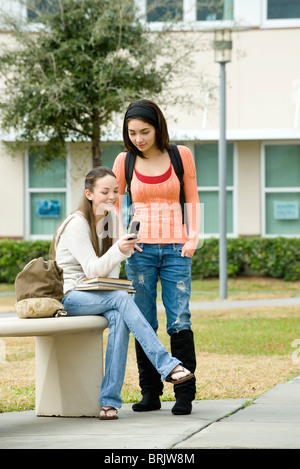 High-School-Freunde hängen auf Schulgelände, Blick auf Handy Stockfoto