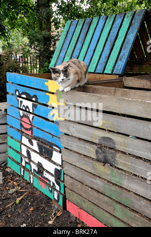 Katze auf bunten Kompost-Behälter, das City Farm, Holloway, London Borough von Islington, UK Stockfoto