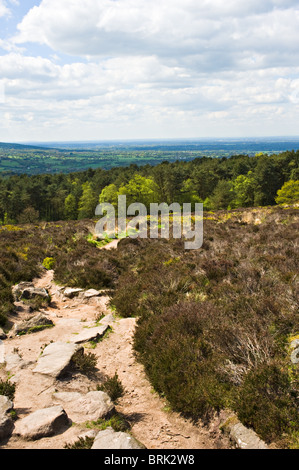 Blick über die Ebene von Cheshire Ackerland und Wald von hoch oben Congleton England Vereinigtes Königreich UK Stockfoto