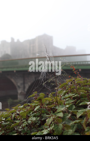 Newark Schloss Nebel Nebel Stockfoto