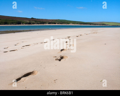 Fußabdrücke am Rock Beach in Cornwall, England, Großbritannien. Stockfoto