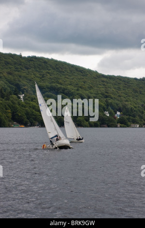 Segelboote am Lake Windermere im Lake District, Cumbria Stockfoto