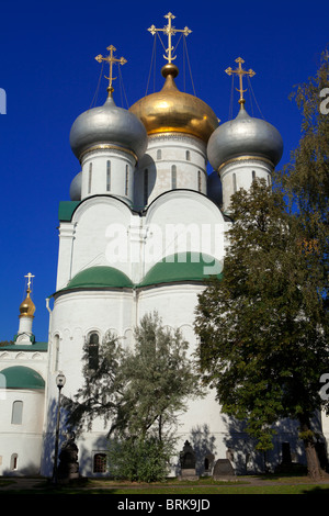 Kathedrale unserer Dame von Smolensk auf dem Nowodewitschi-Kloster in Moskau, Russland Stockfoto