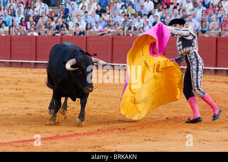 Stierkampf-Szene in Sevilla, Spanien Stockfoto