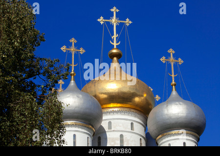 Zwiebeltürme der Kathedrale der Gottesmutter von Smolensk auf dem Nowodewitschi-Kloster in Moskau, Russland Stockfoto