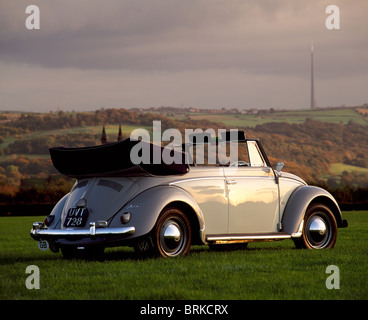 1954 Volkswagen Käfer Cabriolet in Landschaft Stockfoto