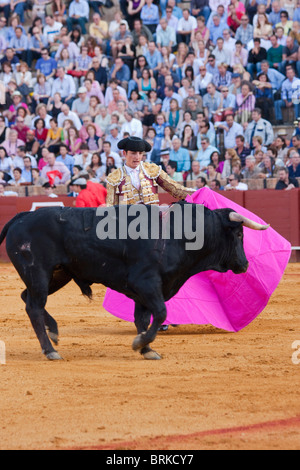 Stierkampf-Szene in Sevilla, Spanien Stockfoto