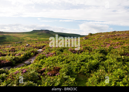 Blick auf Higger Tor von Burbage Moor bedeckt im Heidekraut und Bracken, im Peak District National Park, England, UK Stockfoto