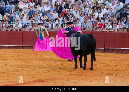 Stierkampf-Szene in Sevilla, Spanien Stockfoto