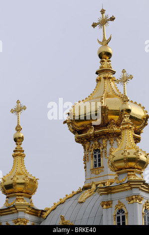 Goldene Kuppeln und Kreuze auf dem Dach der Kapelle in Peterhof. St Petersburg, Russland. Stockfoto