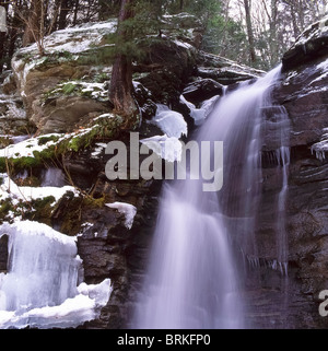 Wasserfall im Wald im Bundesstaat New York Stockfoto