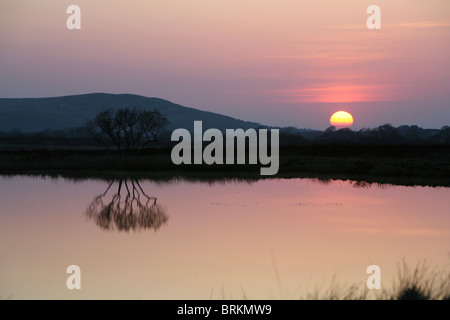 Llanmadoc Hügel mit Winter Sonnenuntergang von breiten Pool Gower Halbinsel Wales UK Stockfoto