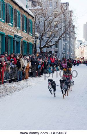 Die Schlittenhunde-Rennen sind sehr beliebt, während des Karnevals in Quebec City. Stockfoto