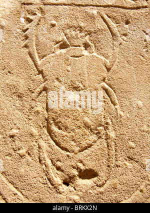 Basrelief Skarabäus-Käfer an der Wand des antiken Tempel, Ägypten, Luxor, Karnak-Tempel Stockfoto