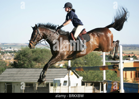 Pferd mit Reiter springen über Hindernisse während Routine-Übung Stockfoto