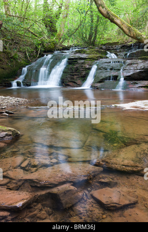 Wasserfälle am Fluss Ennig im Pwll y Wrach Naturreservat in der Nähe von Talgarth, Brecon Beacons National Park, Powys, Wales. Stockfoto