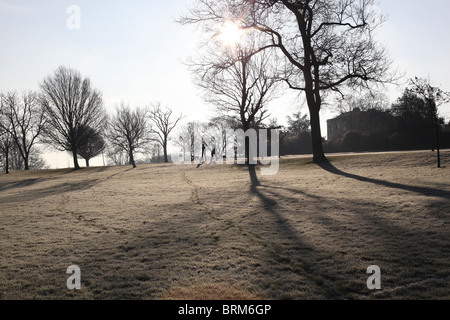 Zwei Personen loslaufende Hunde im park Stockfoto