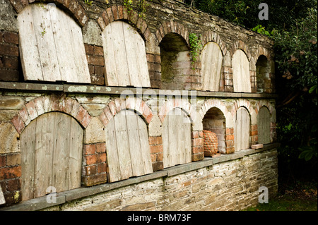 Biene Boles auf The Lost Gardens of Heligan in Cornwall, Großbritannien Stockfoto