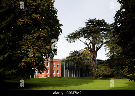 Gemeindeverwaltung (Hub) Salisbury Wiltshire Stockfoto