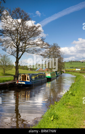 Narrowboats vor Anker am Monmouthshire und Brecon Canal in der Nähe von Pencelli, Brecon Beacons National Park, Powys, Wales. Stockfoto