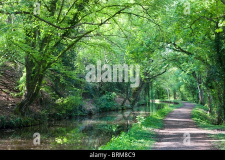 Monmouthshire und Brecon Canal in der Nähe von Llanhamlach, Brecon Beacons National Park, Powys, Wales. Stockfoto