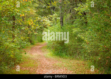 Wanderweg, Chickamauga Schlachtfeld, Georgia, USA Stockfoto