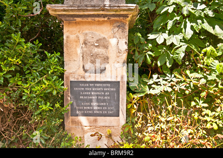 Denkmal von Richard ich in Oxford, besser bekannt als Löwenherz. Er hat in Oxford 1157 geboren worden; Gedenkstein Für Richard Löwenherz Stockfoto