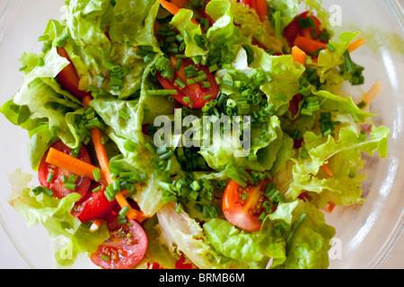 Frischer Gartensalat mit Salat, Kirschtomaten, Karotten und gehackten grünen Zwiebeln in einer weißen Schüssel Stockfoto