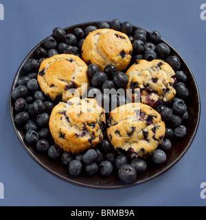 großer Teller mit Blaubeer-Muffins, umgeben von Heidelbeeren auf blau Stockfoto