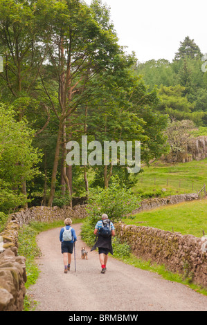 Menschen gehen in den Wald bei Stanley Ghyll in Eskdale, Cumbria, England, Großbritannien, Uk Stockfoto