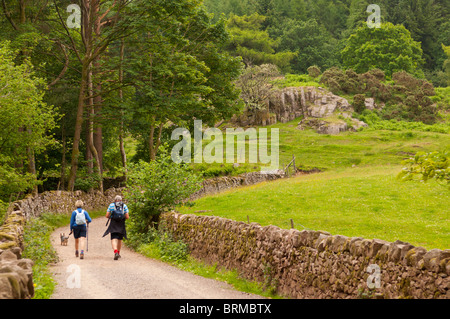 Menschen gehen in den Wald bei Stanley Ghyll in Eskdale, Cumbria, England, Großbritannien, Uk Stockfoto