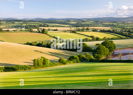 Eine hügelige Landschaft in der Nähe von dem Dorf Bogen, Blick nach Süden in Richtung der Hügel von Dartmoor. Sommer (Juli) 2010. Stockfoto