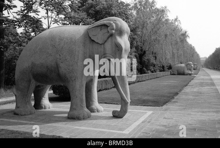 ALTE STEINERNE ELEFANTEN, MING-GRÄBER Stockfoto