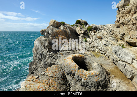 Donut Diamantfräser Kennzeichnung der Stelle eines alten Baumes, fossile Wald, Lulworth Cove, Dorset, England Stockfoto