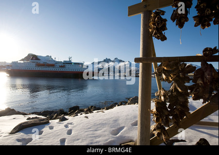 Lofoten Stockfoto