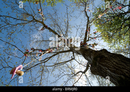 Schnuller, Dummy, Sauger oder Schnuller, links von den Kindern in einem Baum Stockfoto