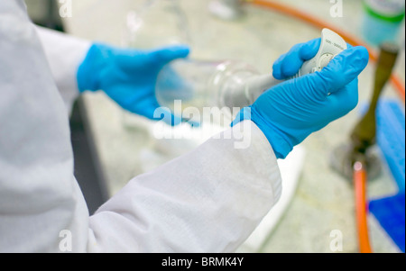 Wissenschaftliches Experiment, Wissenschaftler Händen mit Pipette im Labor Stockfoto