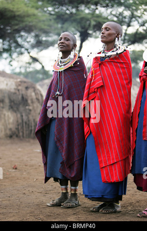 Massai-Frauen suchen elegant gekleidet in ihren traditionellen hellen roten shukas Stockfoto