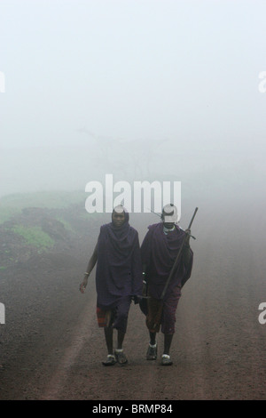 Massai-Krieger gehen gemeinsam in den frühen Morgennebel Stockfoto