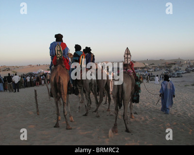 Tuareg-Männer auf Kamelen gekleidet in traditionellen Gewändern, die gerade einer Performance auf dem jährlichen Festival in der Wüste Stockfoto