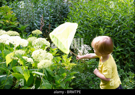 Jungen spielen mit Schmetterlingsnetz im Garten Stockfoto