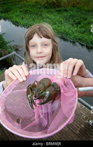 Junge Naturforscher Holly Landman mit einer amerikanischen Signal Krebse, die sie auf dem Fluß Hiz in Arlesey, Bedfordshire, UK gefangen Stockfoto