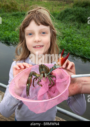 Junge Naturforscher Holly Landman mit einer amerikanischen Signal Krebse, die sie auf dem Fluß Hiz in Arlesey, Bedfordshire, UK gefangen Stockfoto