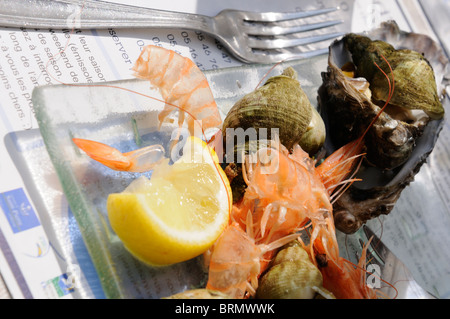 Stock Foto einer Platte fertigen Muscheln auf einem Restaurant-Teller. Stockfoto