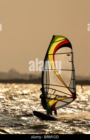 Windsurfer im späten Nachmittag Licht im Mittelmeer vor Santa Pola, Spanien Stockfoto